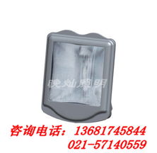 上海晚灿照明灯具厂 道路照明灯产品列表